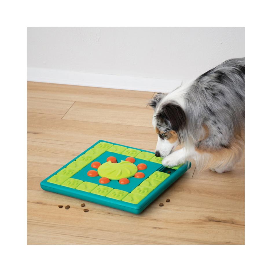 Buy Multi Puzzle Level 4 Activity Toy for your dog