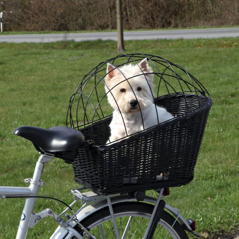 Large front bike basket for dog sale