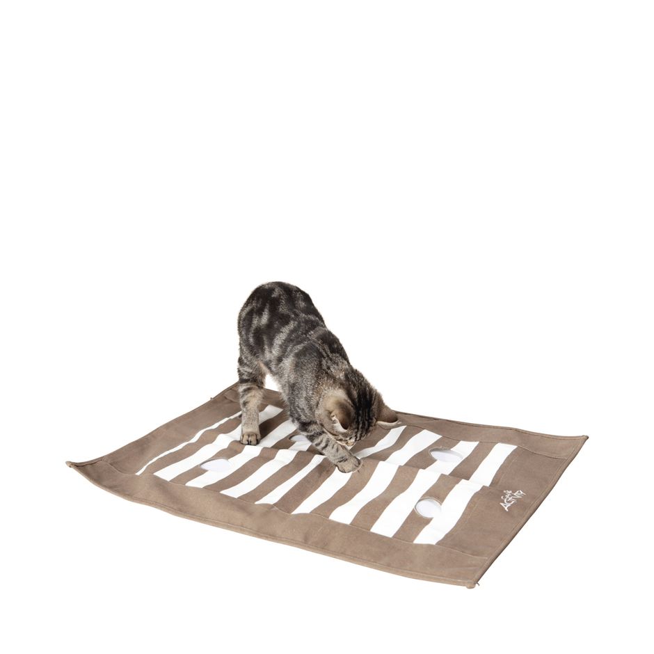 Orders doggy play mat