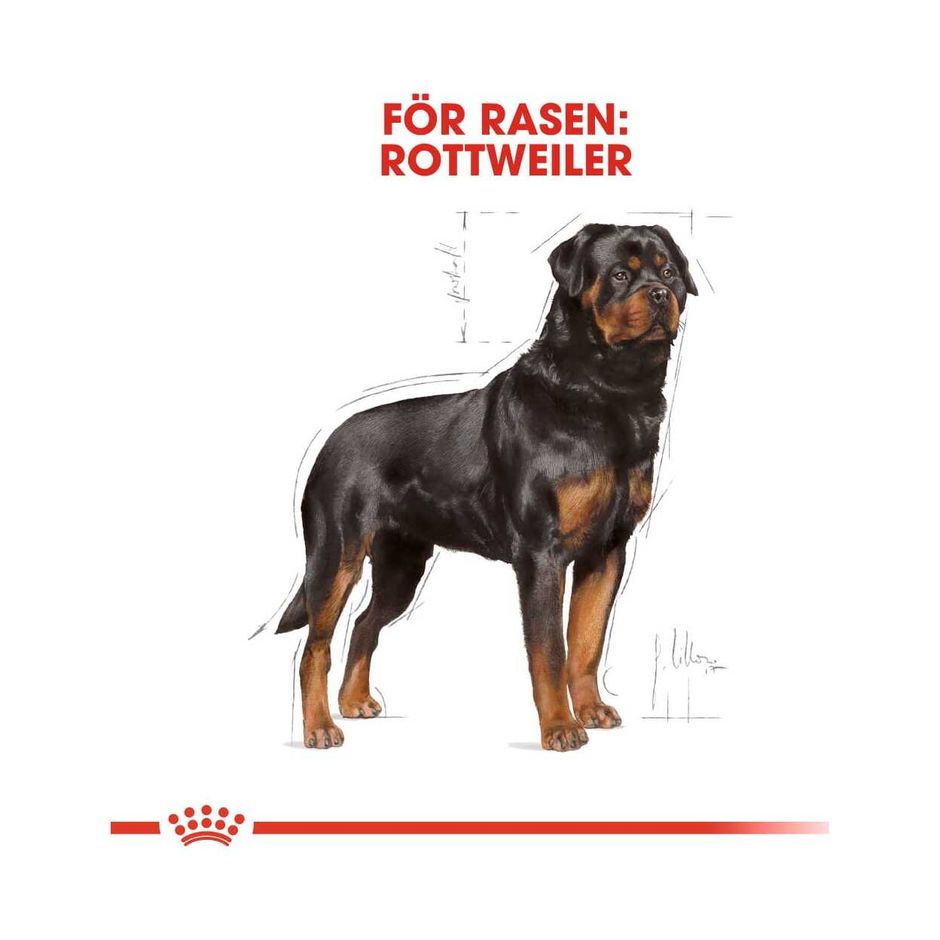 Royal canin rottweiler adult 12kg shops