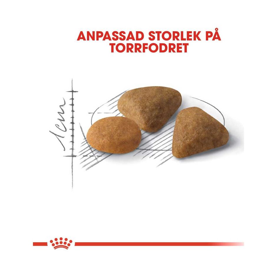 Royal canin savor exigent sales