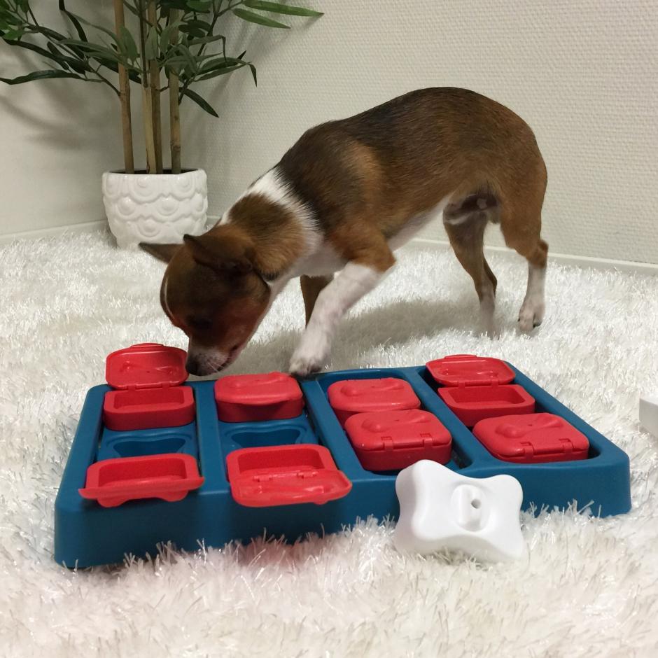 *NEW* Nina Ottosson Dog Brick Treat Puzzle Toy Product Review