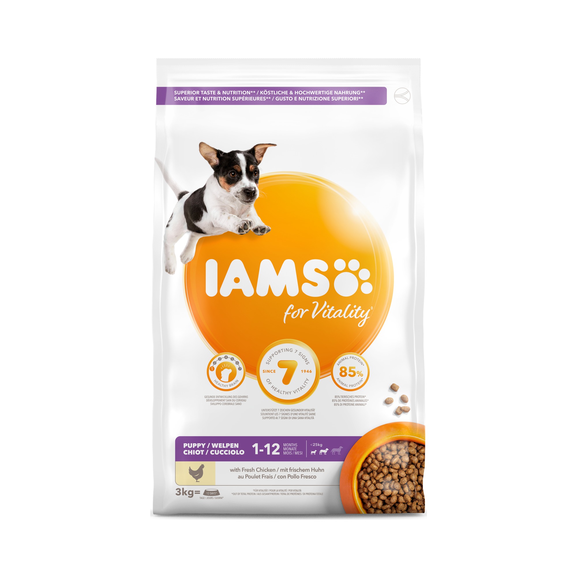 Iams dog 2024 food small medium