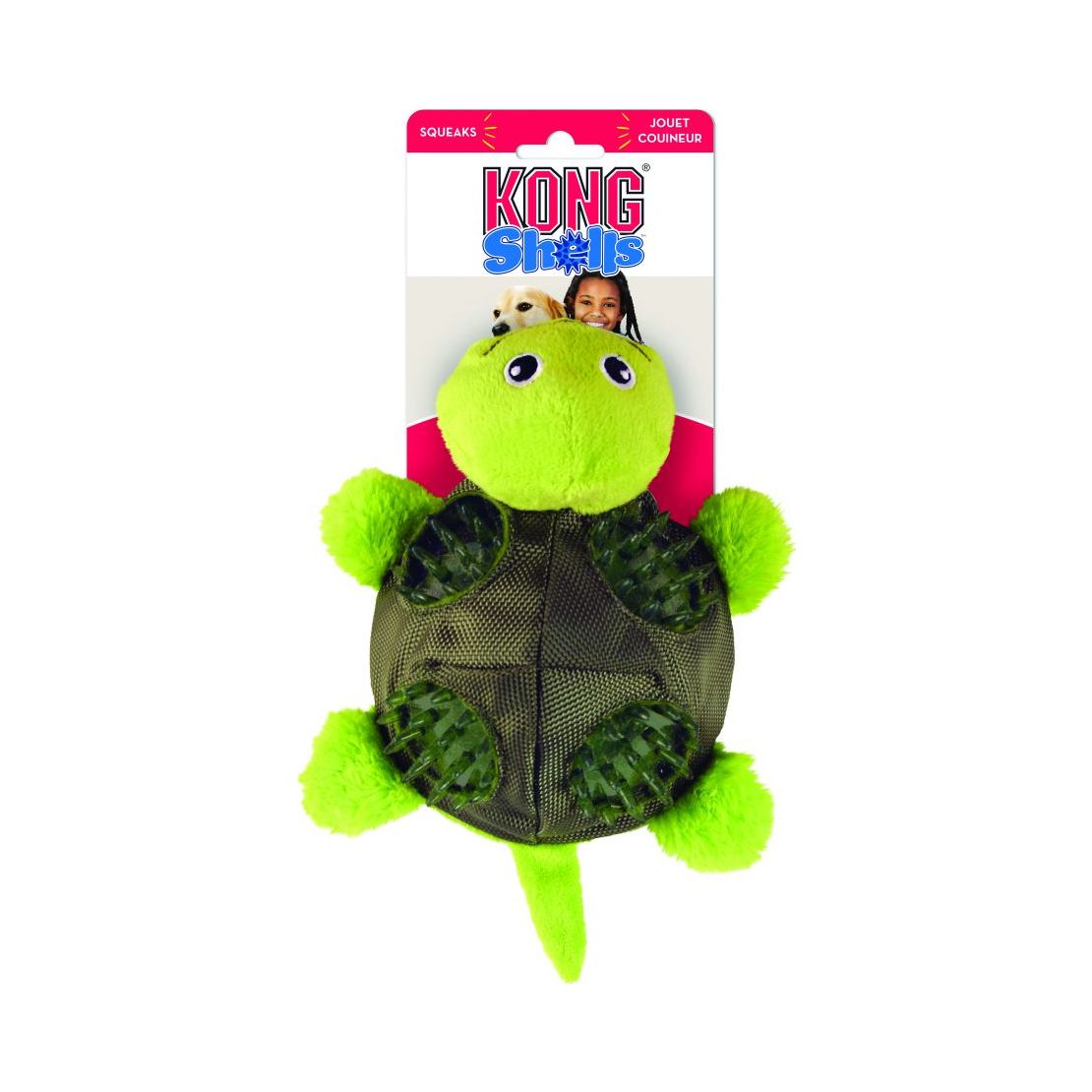 kong turtle