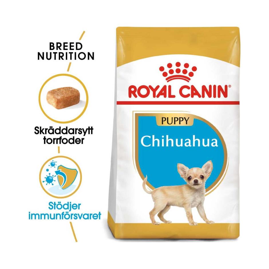 Matrix poeder Beginner Buy Royal Canin Chihuahua Puppy for your dog | Tinybuddy