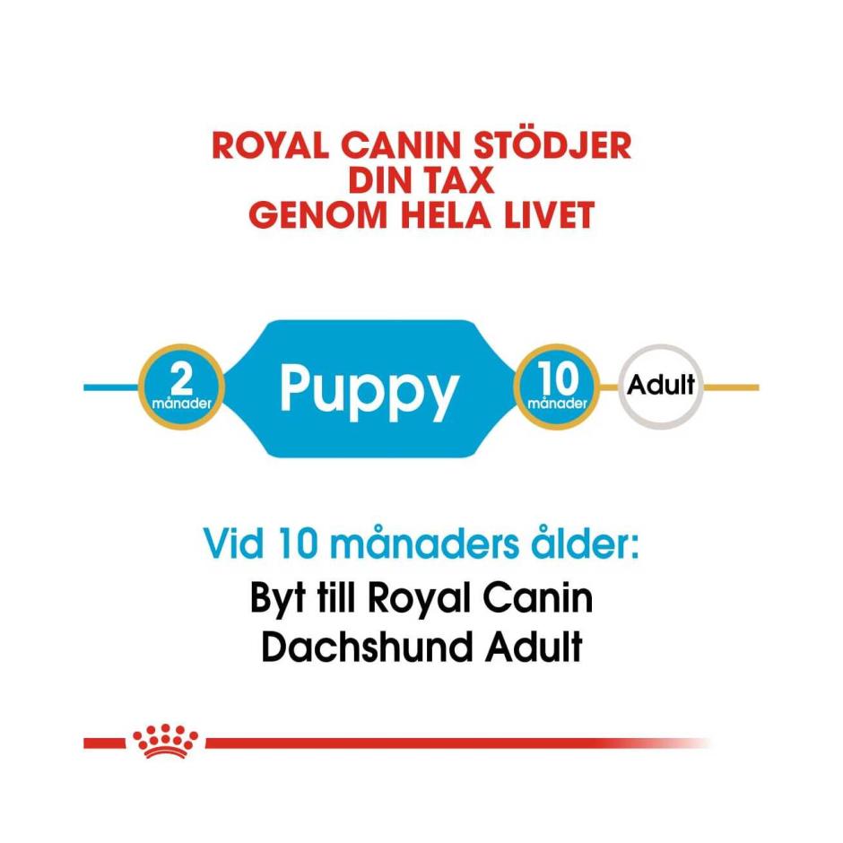 ROYAL CANIN Dachshund Puppy Dry Dog Food 1.5Kg
