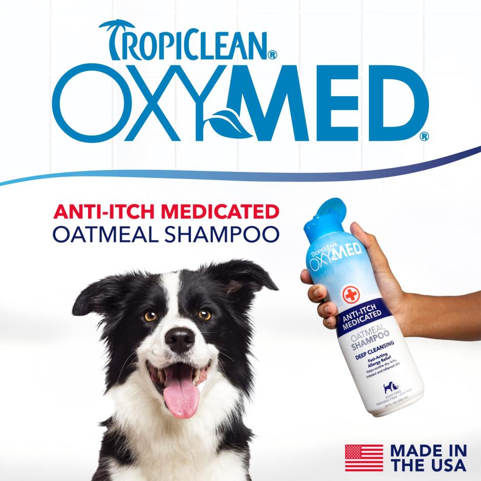 Buy Oxy-Med Shampoo | Tinybuddy